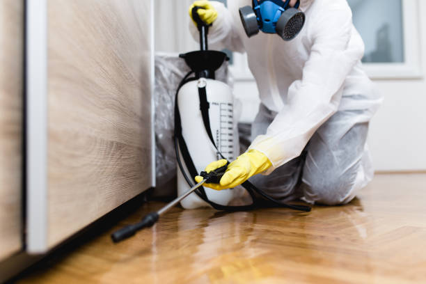 Best Local Pest Control Services  in Monmouth, OR