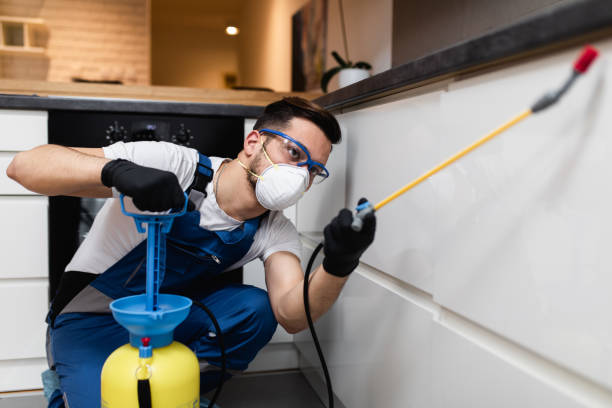 Best Pest Control Near Me  in Monmouth, OR