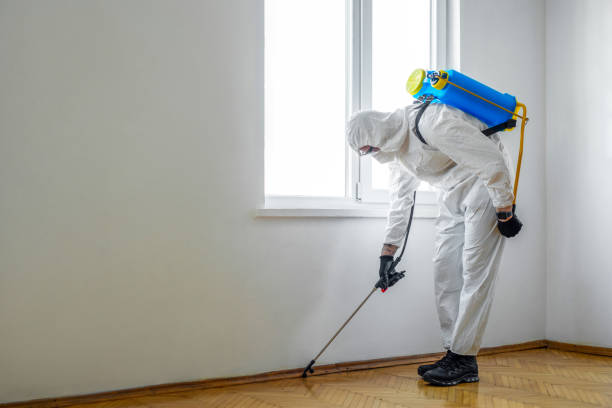 Best Cockroach Control Services  in Monmouth, OR