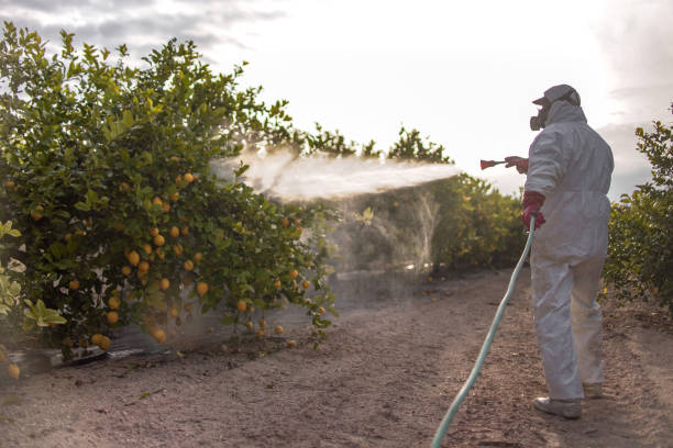 Best Pest Prevention Services  in Monmouth, OR