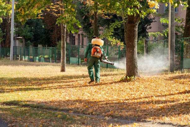 Best Affordable Pest Control Services  in Monmouth, OR