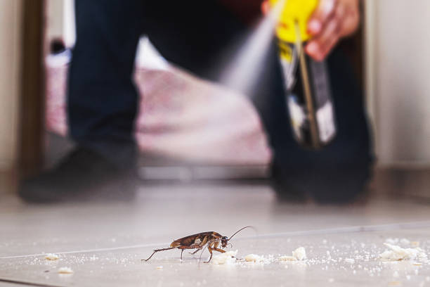 Best Best Pest Control Companies  in Monmouth, OR