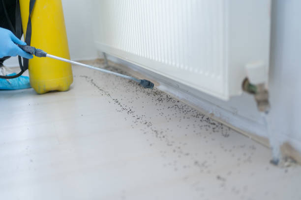 Best Residential Pest Control  in Monmouth, OR