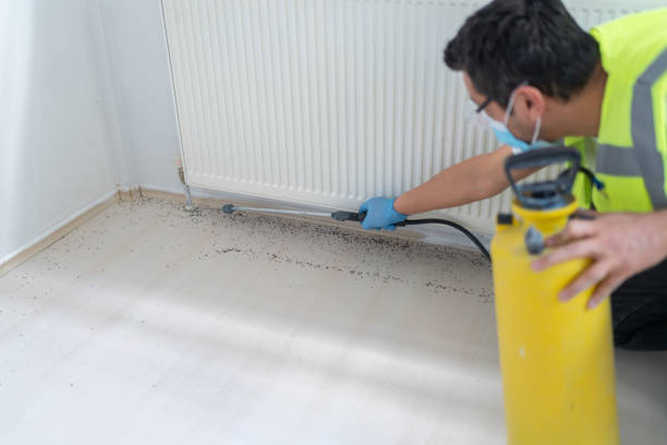 Professional Pest Control in Monmouth, OR